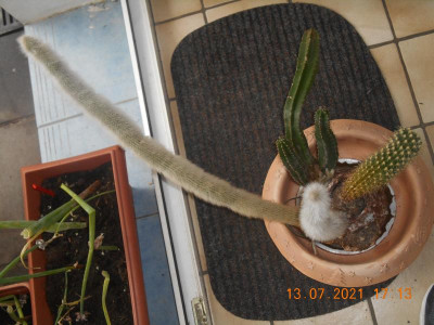 DSCN5916.JPG