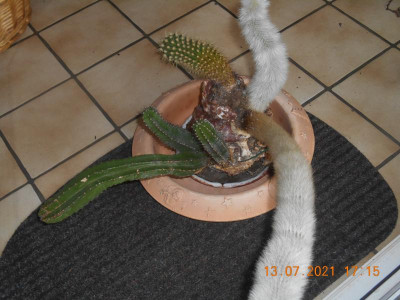 DSCN5917.JPG
