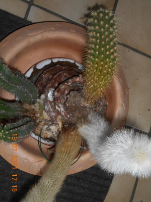DSCN5920.JPG