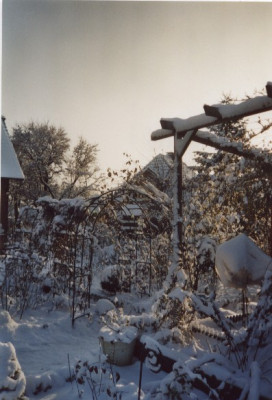 Winter.jpg
