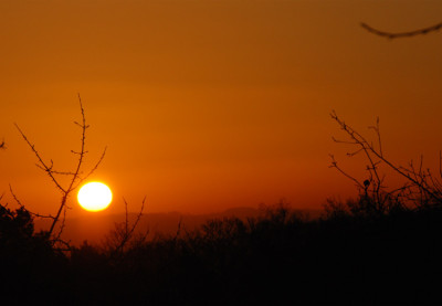 Sonnenaufgang-250108.jpg