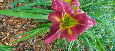 20210714_093051.jpg