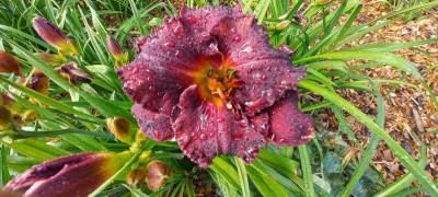 20210714_093007.jpg