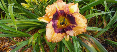 20210714_093031.jpg