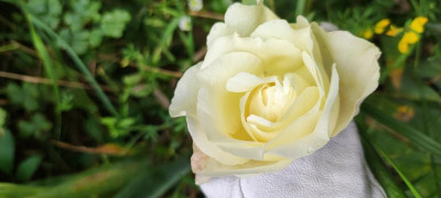 IMG_20210715_165013.jpg