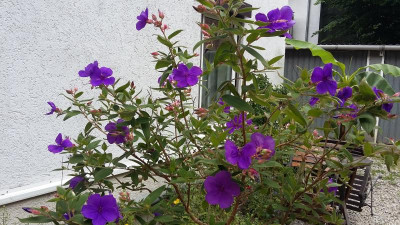 20210716_154031.jpg