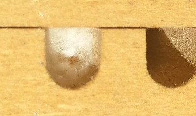 IMAG6250~2.jpg