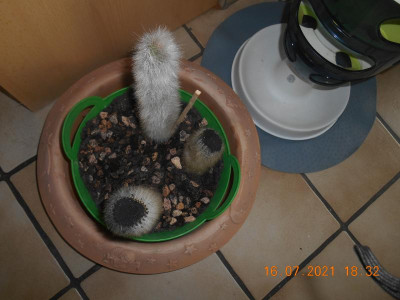 DSCN5921.JPG