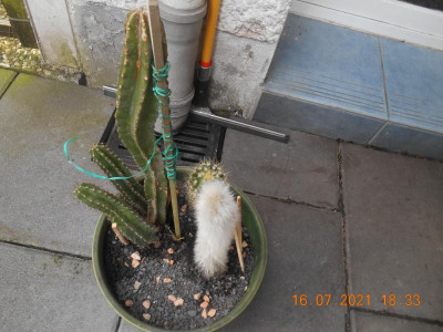 DSCN5922.JPG