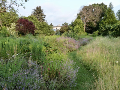 tg_210716.jpg