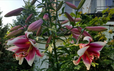 20210716_222540.jpg