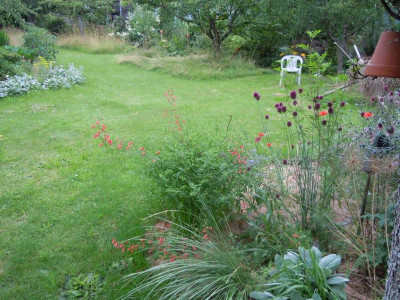 DSCN0986.JPG