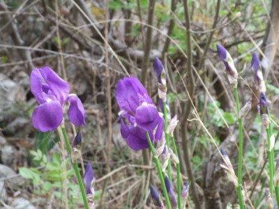 DSCF3775.jpg