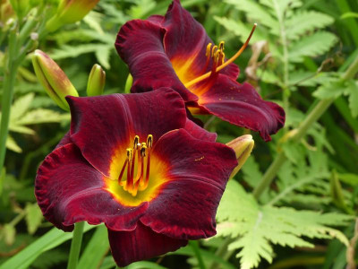 2021_0717JuliMitte0039.JPG