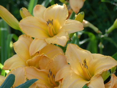 2021_0717JuliMitte0301.JPG