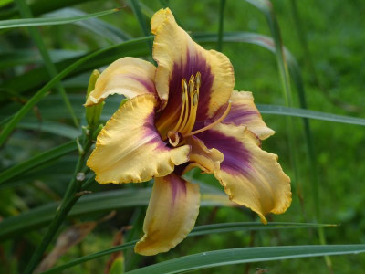 2021_0717JuliMitte0205.JPG