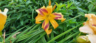 20210718_100718.jpg