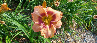 20210718_100902.jpg