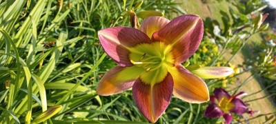 20210718_100943.jpg