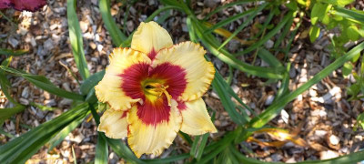 20210718_101131.jpg