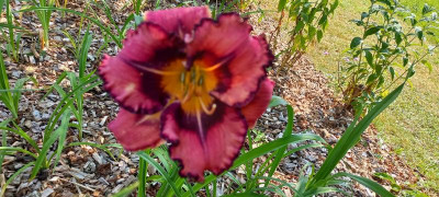 20210718_101134.jpg