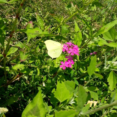 rps20210718_191013.jpg