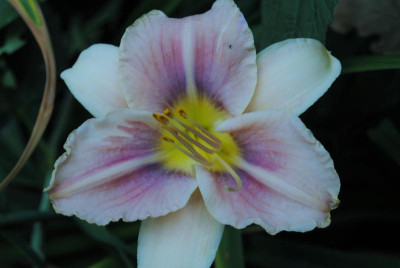 DSC_0592.JPG