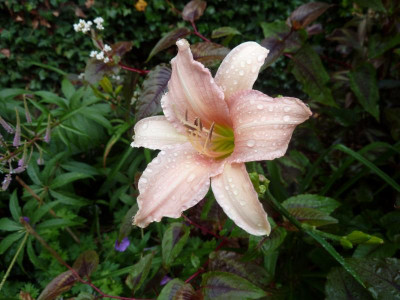 P1000330.JPG