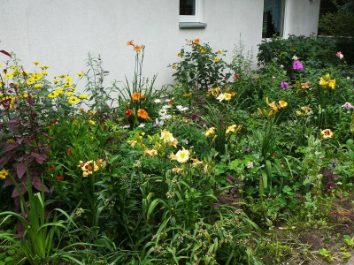 Offene Gärten 3303.jpg