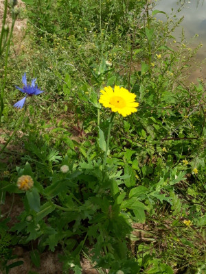 rps20210719_192751.jpg