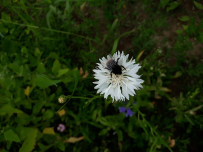 rps20210719_192732.jpg