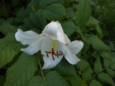 DSCN2293.JPG