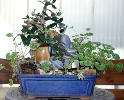 Oliven-traum.JPG