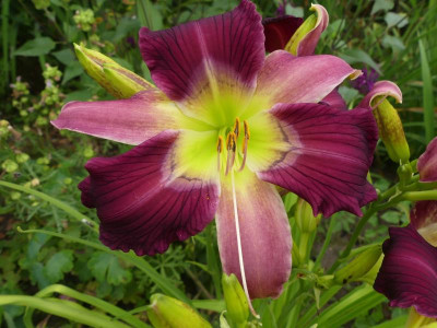 2021_0720JuliMitte0042.JPG