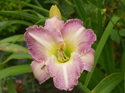 2021_0720JuliMitte0068.jpg