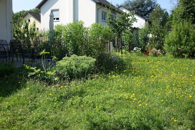 Garten 2021-07-21.jpg