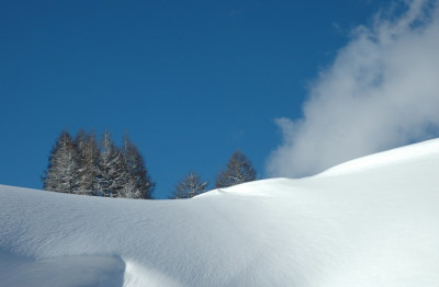 Flachau_1_24-01-2008.jpg