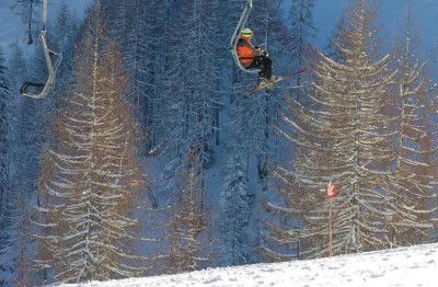 Flachau_2_24-01-2008.jpg