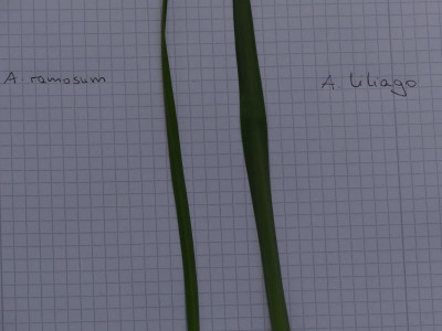 P1090798.JPG