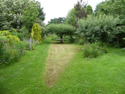 2021-07-21 Garteneinblick 16.jpg