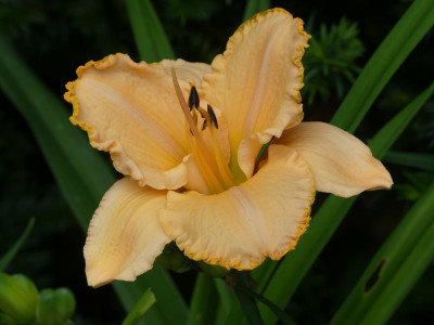 2021_0720JuliMitte0105.JPG