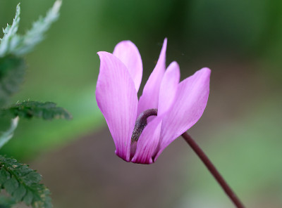 DSC_2479_DxO.jpg