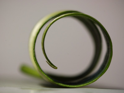 Von-der-Rolle.jpg