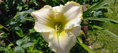 20210723_111815.jpg