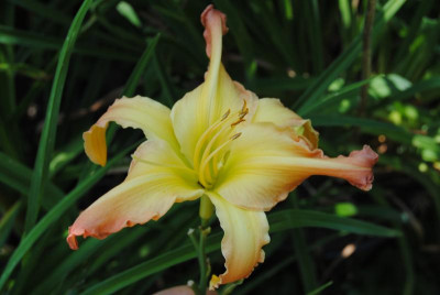 DSC_0677.JPG