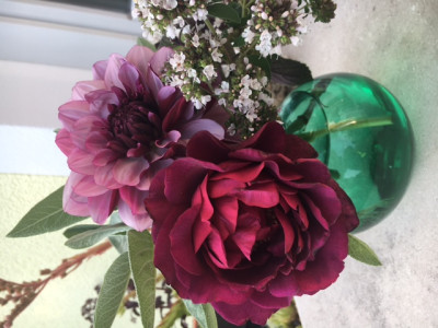 Gräfin und Creme de cassis.JPG
