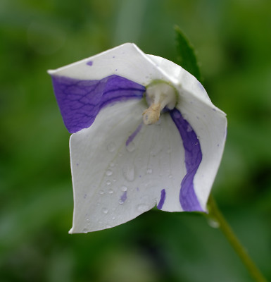 DSC_2509_DxO.jpg