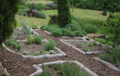 Sammelgarten_20070507_03.jpg