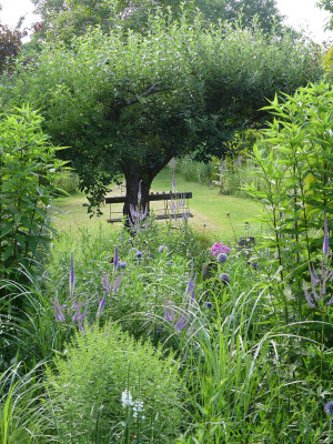 2021-07-24 Gartenimpressionen 9.jpg