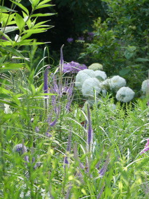 2021-07-24 Gartenimpressionen 10.jpg